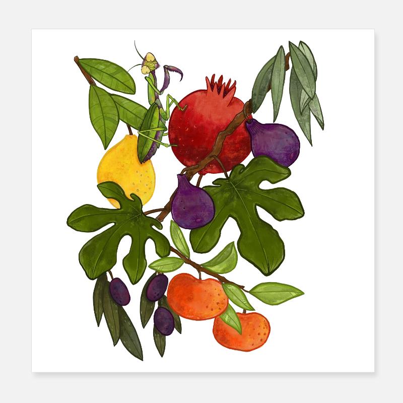 Automne méditerranéen - Poster 20 x 20 cm - blanc