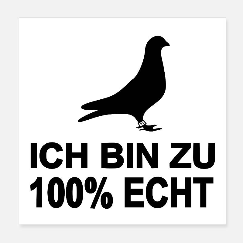 Tauben Poster 20x20 cm