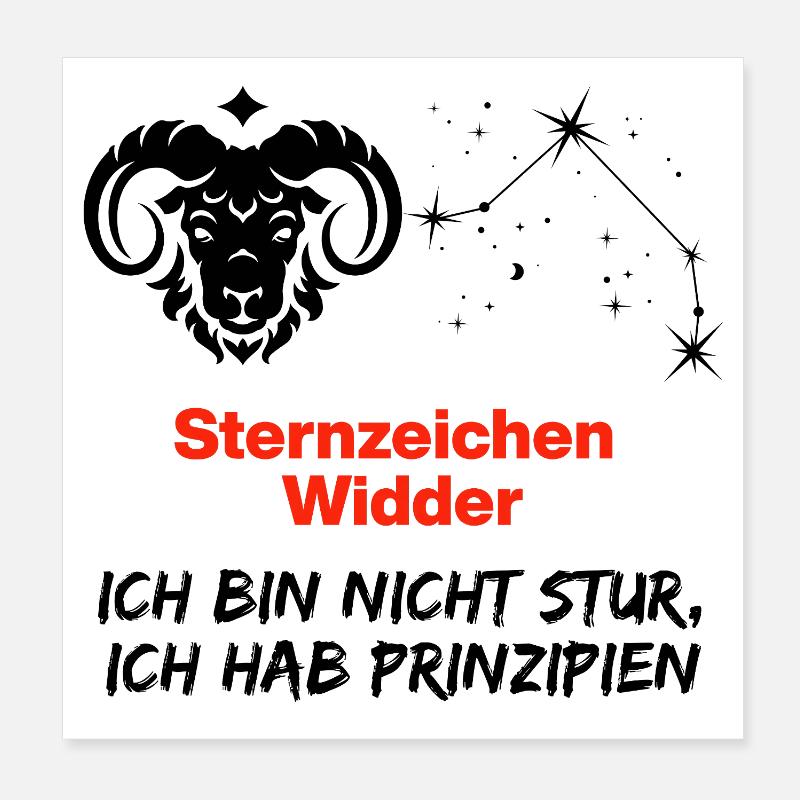 Sternzeichen Widder hat Prinzipien, Geburtstag Poster 20x20 cm