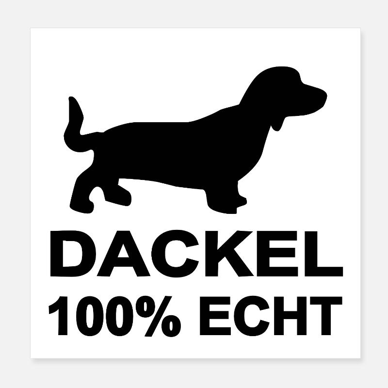Dachshund Poster 8" x 8" (20x20 cm)