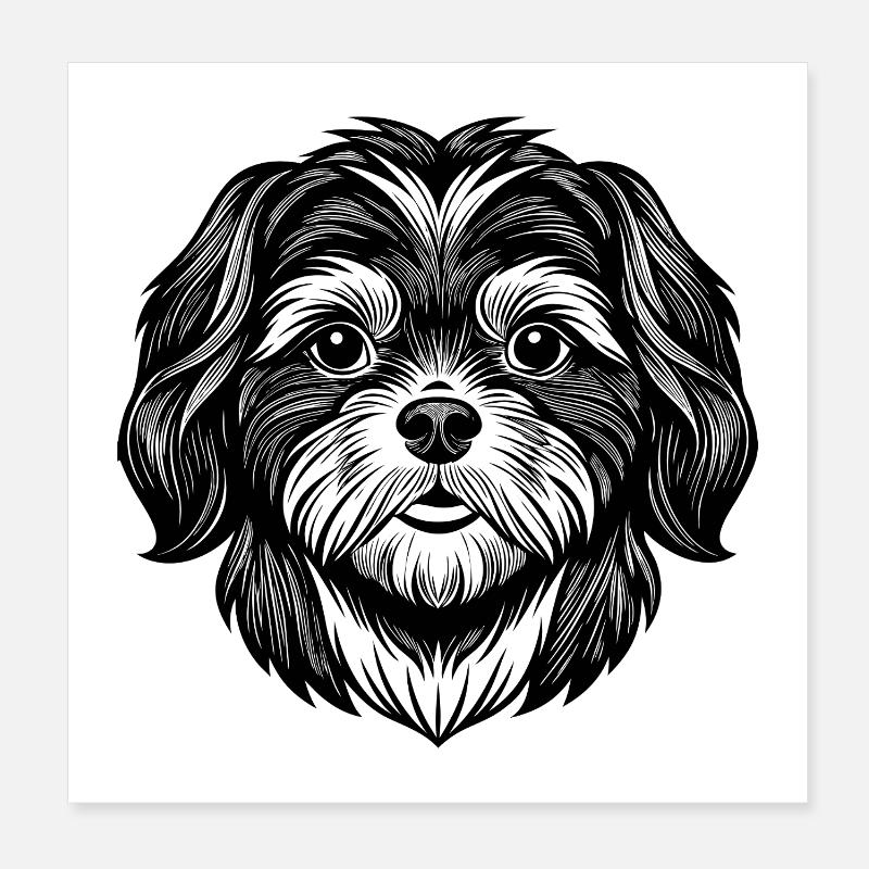 Shih Tzu Poster 20 x 20 cm
