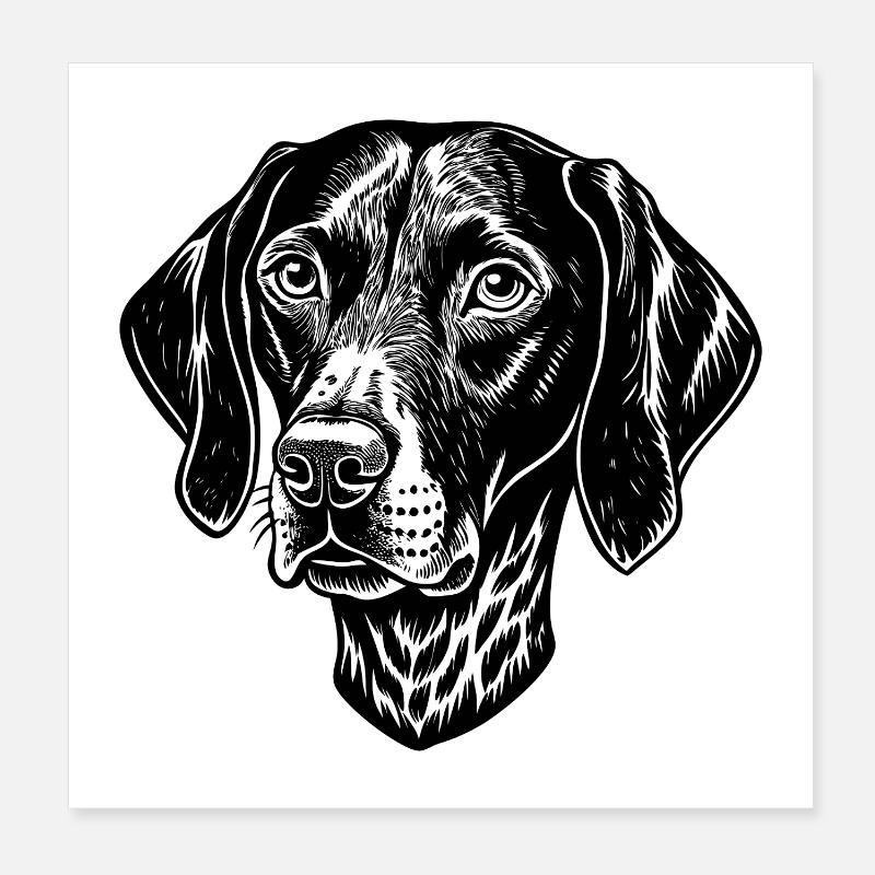 Pointer dog Poster 8" x 8" (20x20 cm)