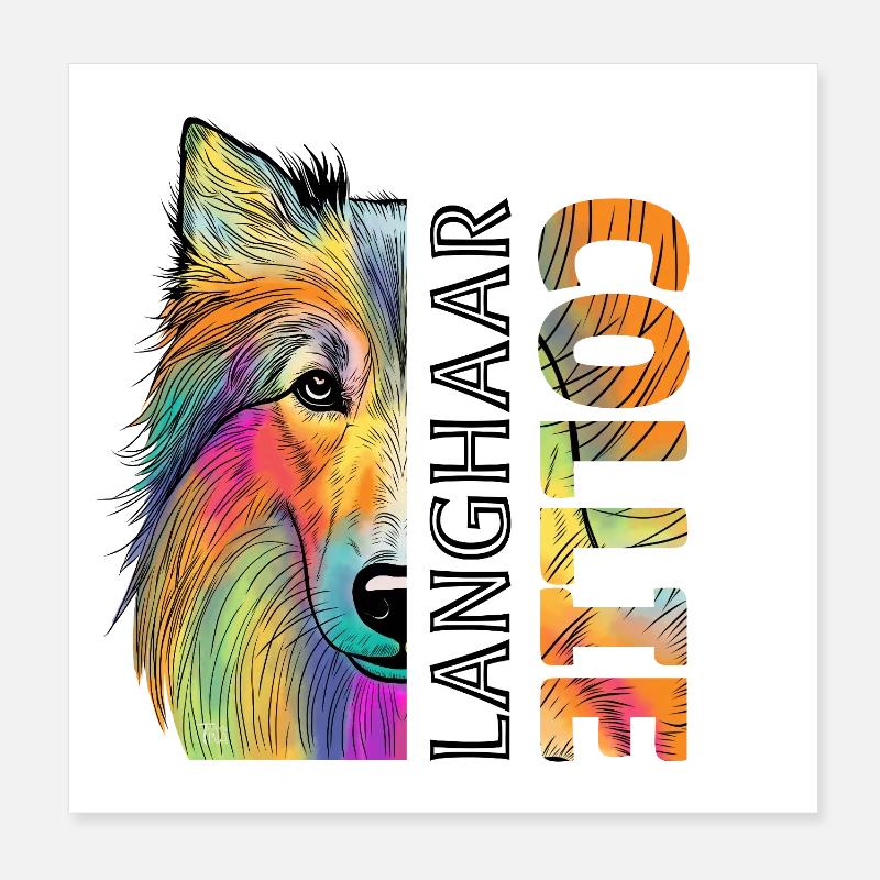 collie Poster 8" x 8" (20x20 cm)