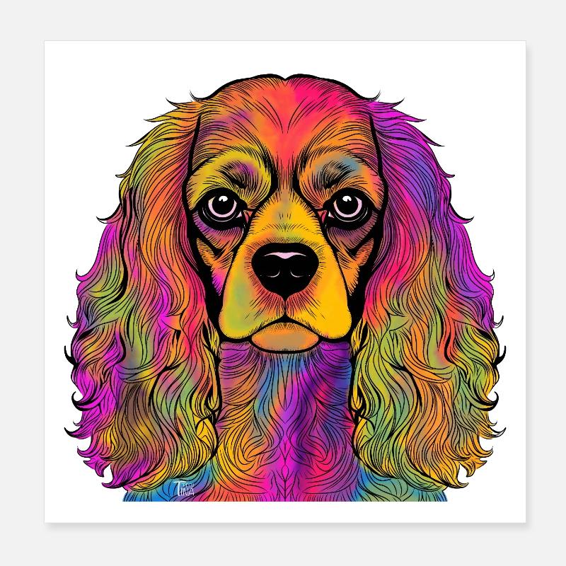 Cavalier King Charles Spaniel - Poster 20 x 20 cm - blanc