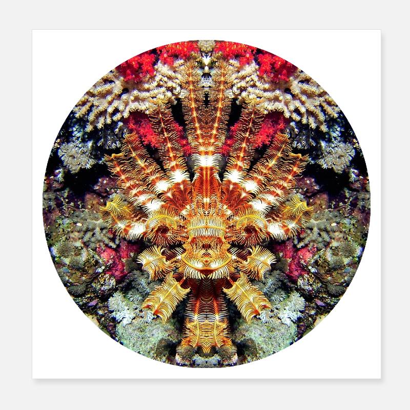 Aquatic Creature Coral Mandala Poster 8" x 8" (20x20 cm)