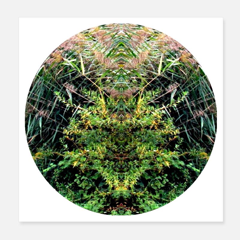 Des créatures de la nature dans les roseaux Poster 20 x 20 cm