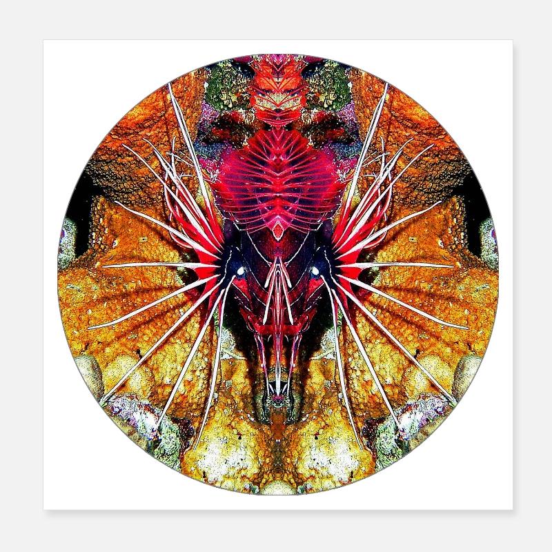 Créatures marines de la nature Poster 20 x 20 cm