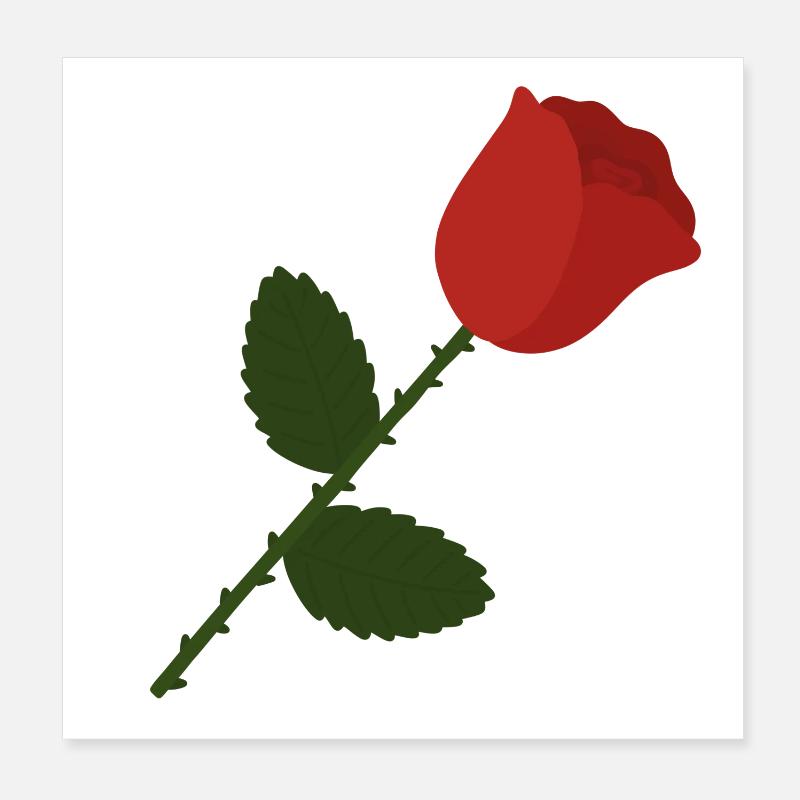 Rose Illustration Poster 20 x 20 cm