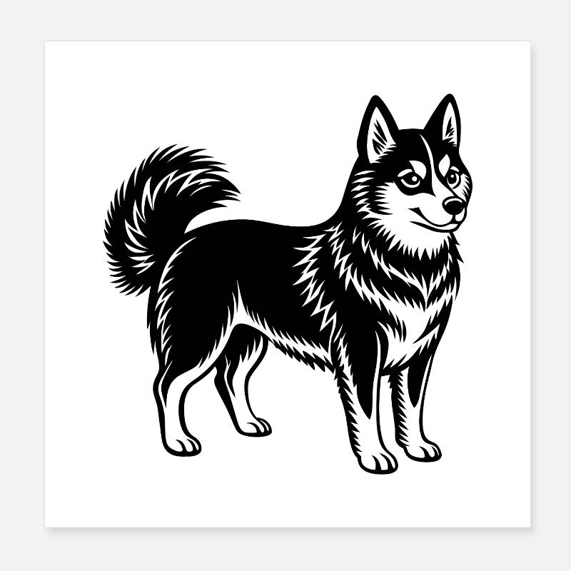 Alaskan klee kai Poster 8" x 8" (20x20 cm)