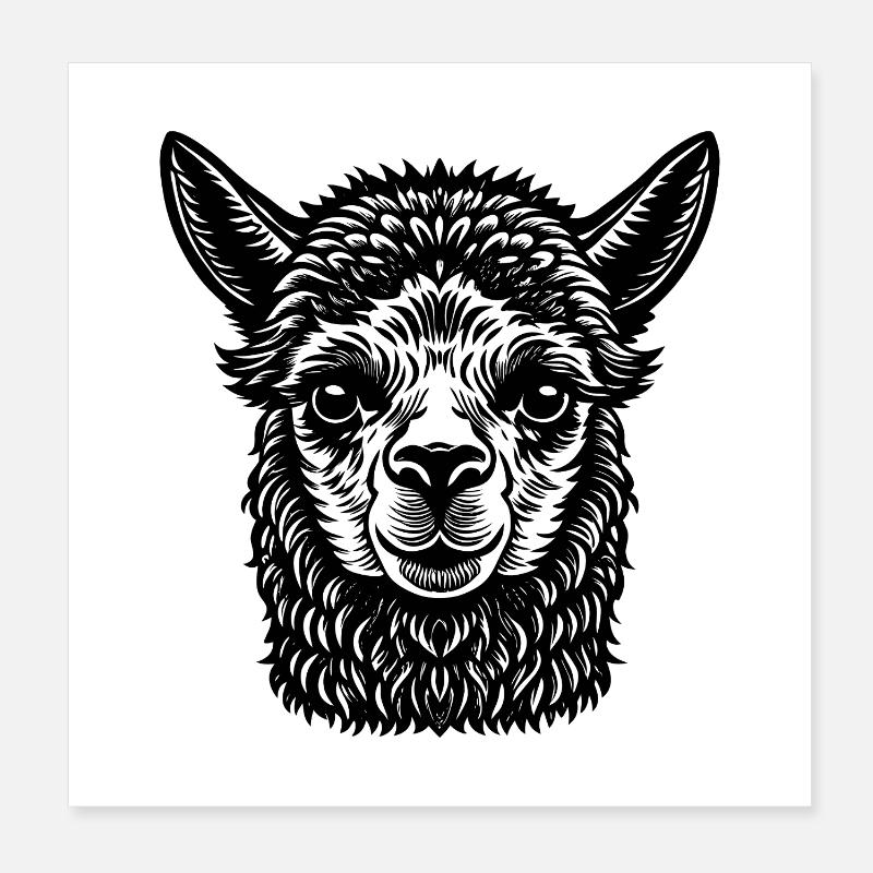 Alpaka Poster 20x20 cm