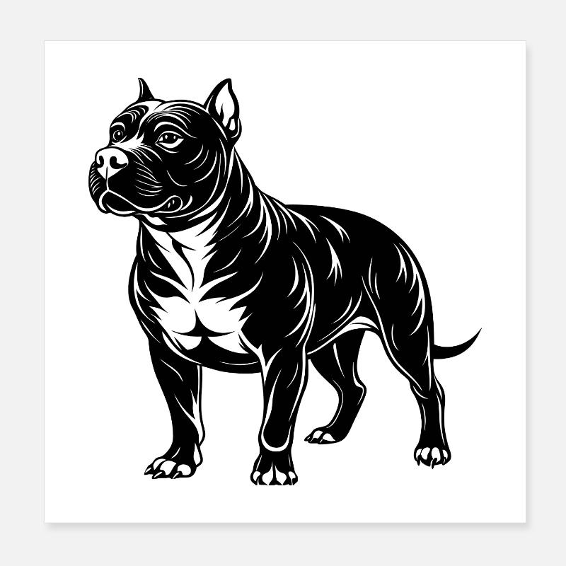 Pitbull américain Poster 20 x 20 cm