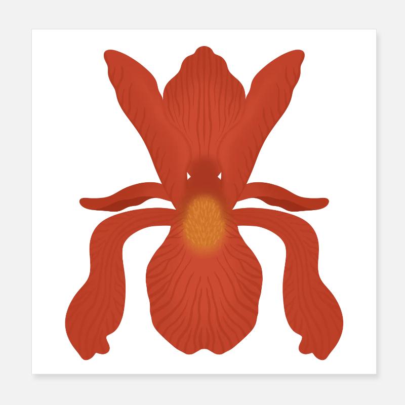 Flamme d’Iris Cramoisi Poster 20 x 20 cm
