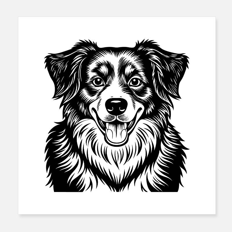 Australian Shepherd Poster 20x20 cm