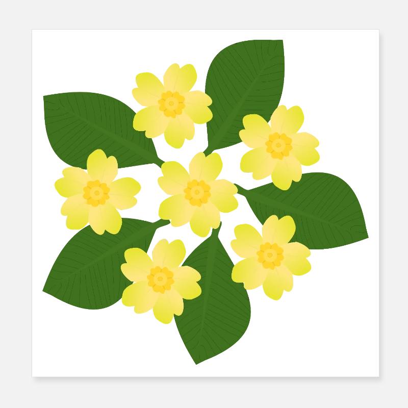 Février, Fleurs de naissance, primevères d’anniversaire, fleur d’anniversaire Poster 20 x 20 cm