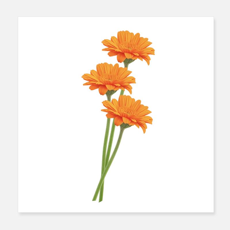 Orange Gerbera Trio Poster 20 x 20 cm