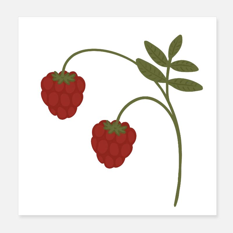 Raspberries Poster 8" x 8" (20x20 cm)
