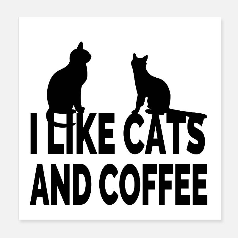 Katzen Poster 20x20 cm