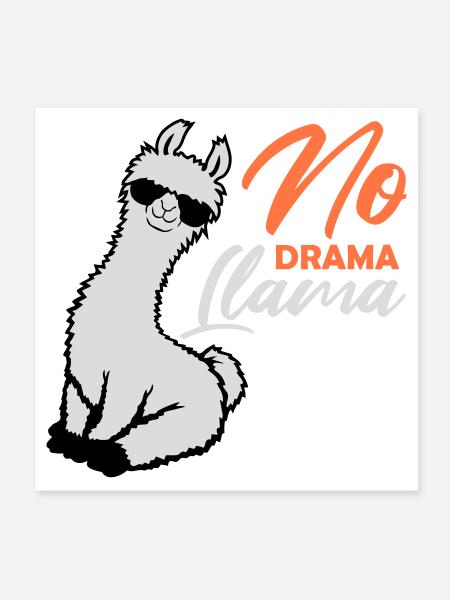 No Drama Lama Cool Sunglasses Seated Relaxed - Poster 8" x 8" (20x20 cm) - white - Front