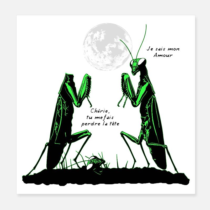 TU ME FAIS PERDRE LA TÊTE (amour,mante religieuse) Poster 20 x 20 cm