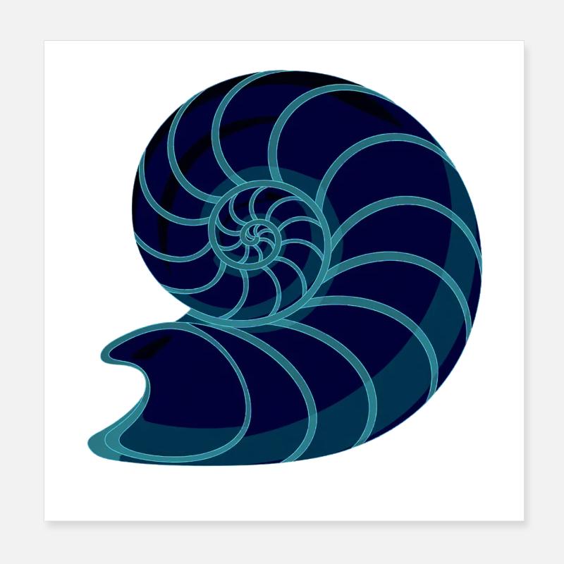 ammuniten, urzeit Poster 20x20 cm