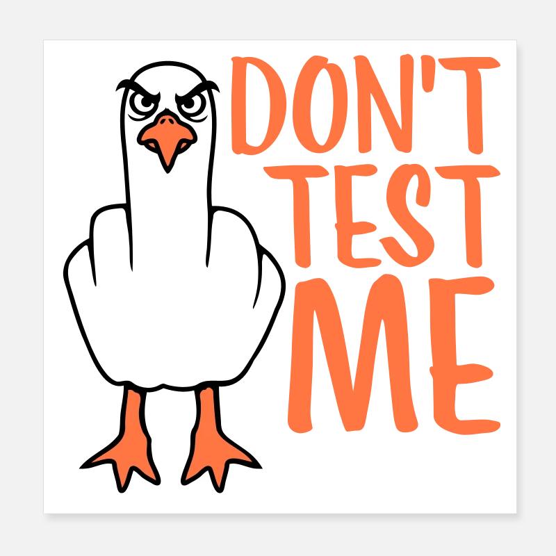 Don't Test Me Seagull Bird Naughty Middle Finger Evil Poster 8" x 8" (20x20 cm)