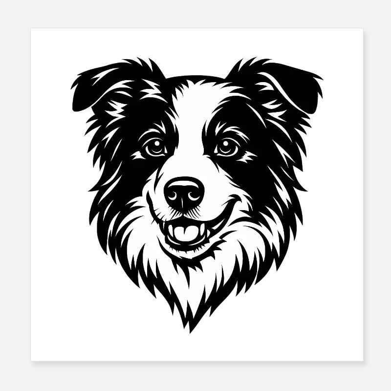Portrait du Border Collie – Fan de chiens Poster 20 x 20 cm