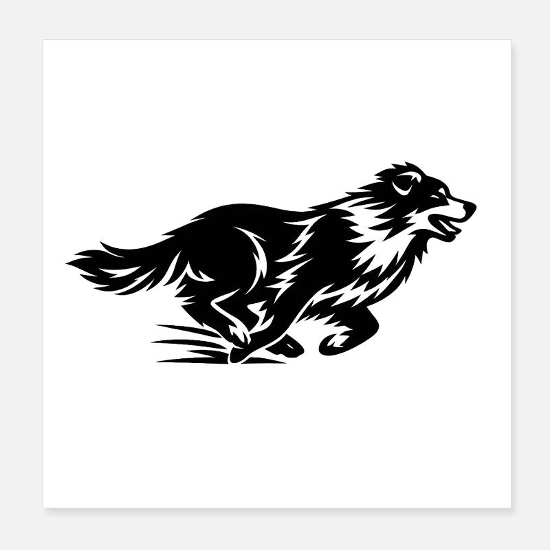 Silhouette du Border Collie en course - Poster 20 x 20 cm - blanc