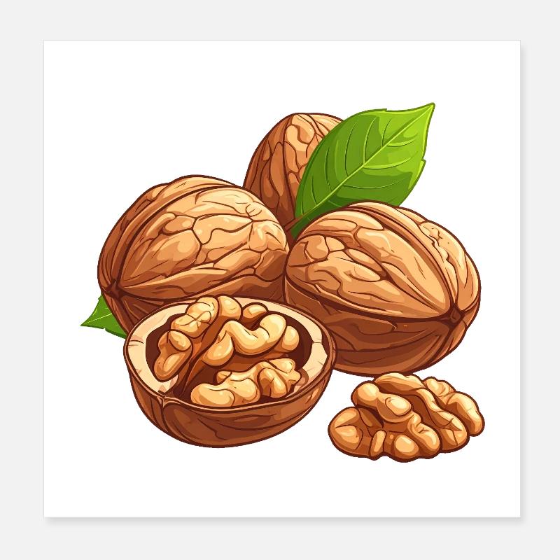 noix Poster 20 x 20 cm