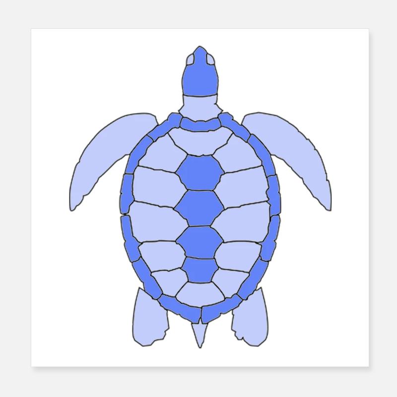 TURTLE Poster 20x20 cm