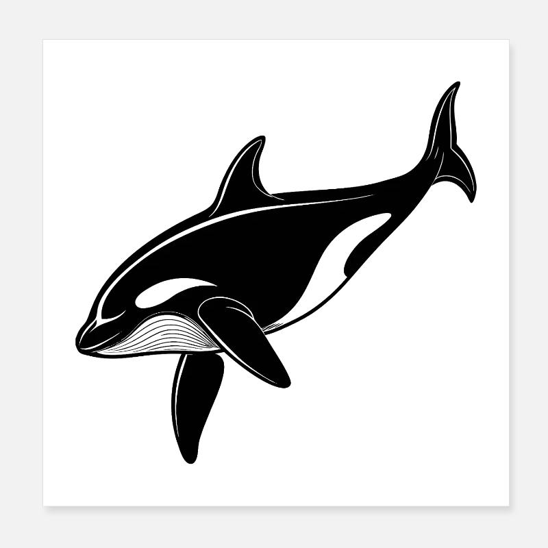 Killer whale Poster 8" x 8" (20x20 cm)