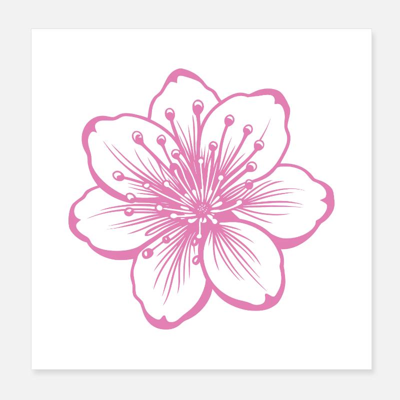 Kirschblüte Poster 20x20 cm