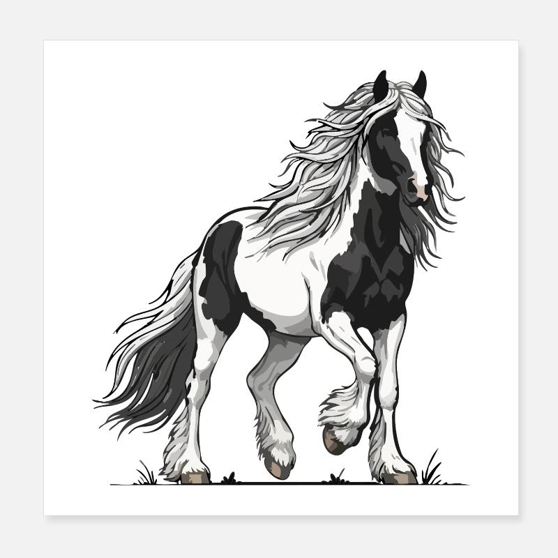 Cheval Pie Noir et Blanc Vanner Équestre Poster 20 x 20 cm