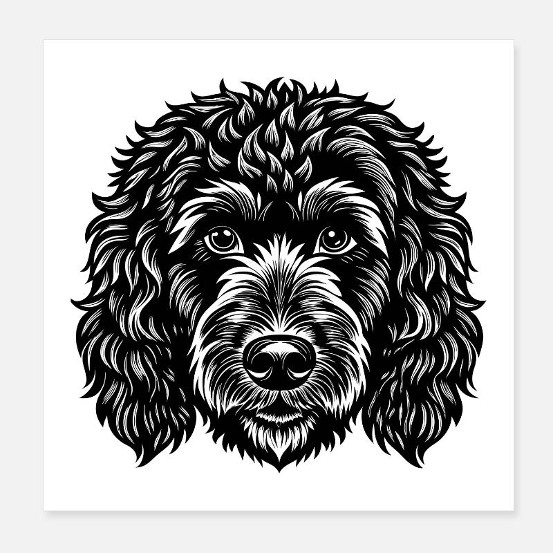 Tête de chien Goldendoodle Poster 20 x 20 cm