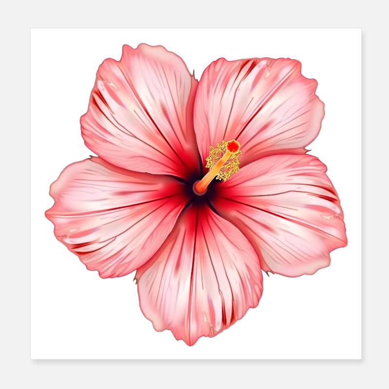 Hibiskus Blume Poster 20x20 cm