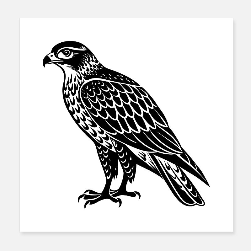 Hawk Poster 20x20 cm