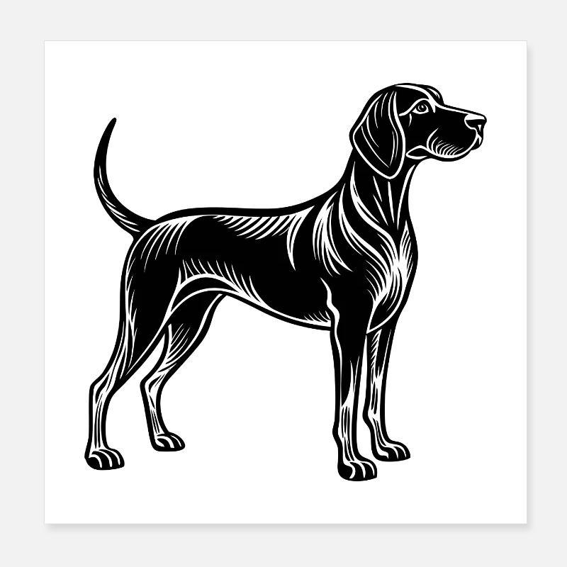 Coonhound Dog Poster 20x20 cm