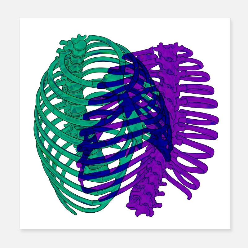 Dual chromatic ribcage Poster 8" x 8" (20x20 cm)