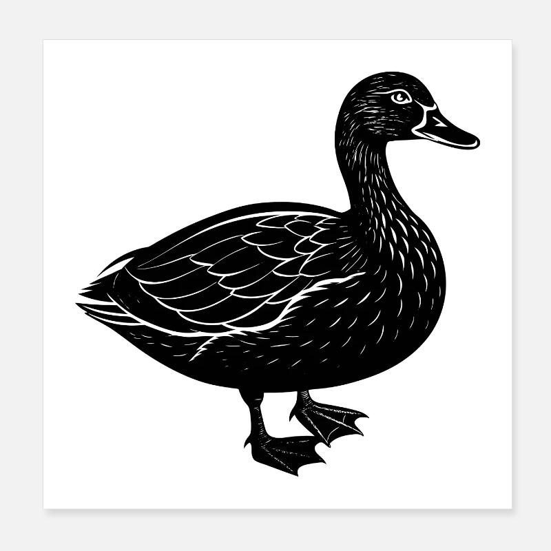 Canard Poster 20 x 20 cm