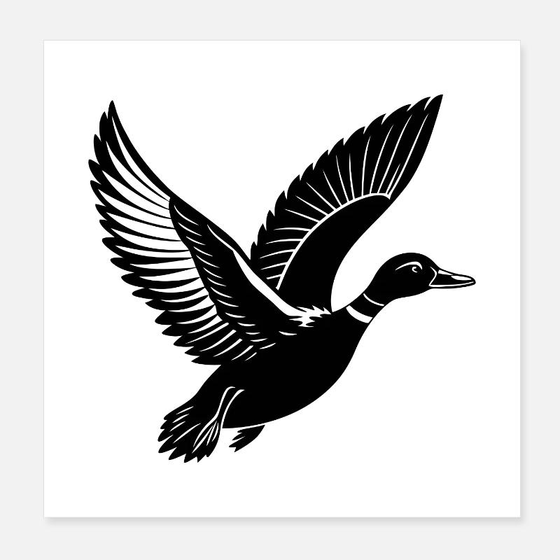 Flying Mallard Duck Poster 8" x 8" (20x20 cm)
