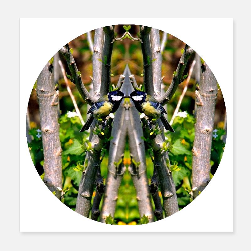 Source du Mandala de la nature dans le parc municipal Poster 20 x 20 cm