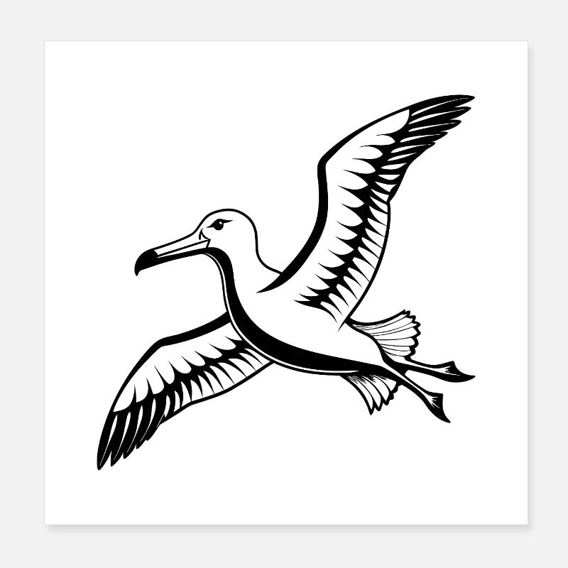Albatros de Nouvelle-Zélande Poster 20 x 20 cm
