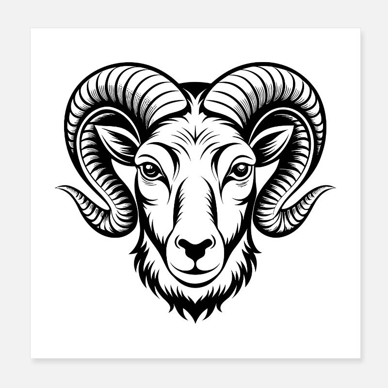 Dickhornschaf Poster 20x20 cm