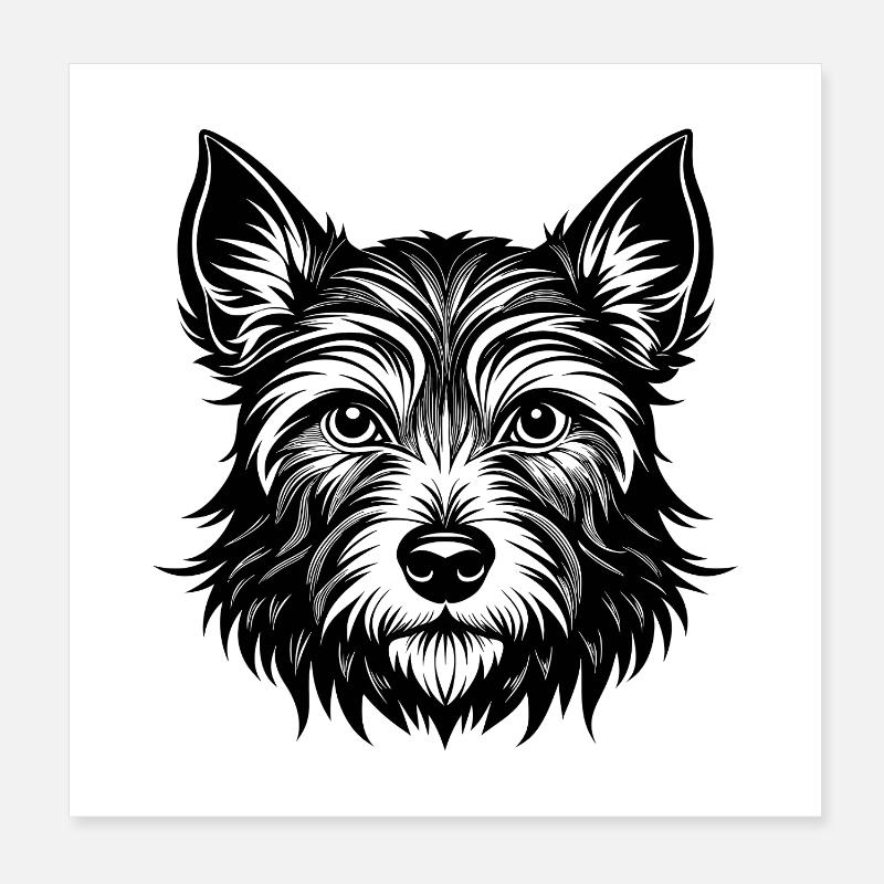 Cairn Terrier Poster 20 x 20 cm