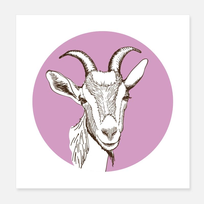 Goat Poster 8" x 8" (20x20 cm)