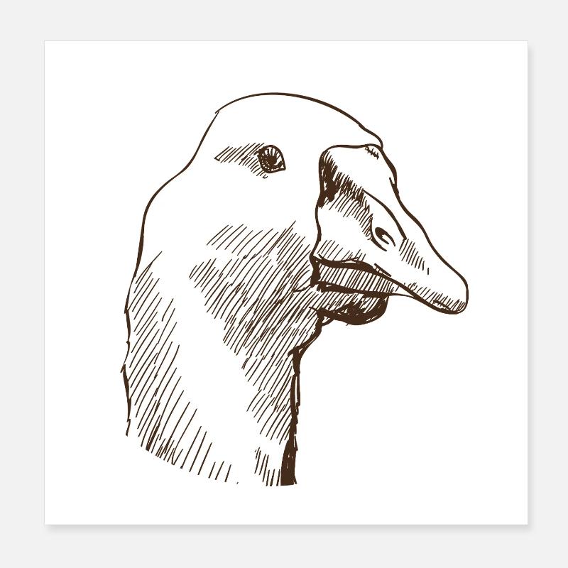 Gans Poster 20x20 cm