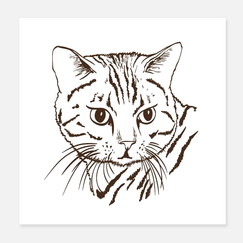 Cat Poster 8" x 8" (20x20 cm)