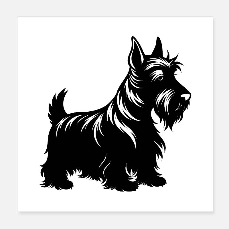Chien Scottish Terrier Poster 20 x 20 cm