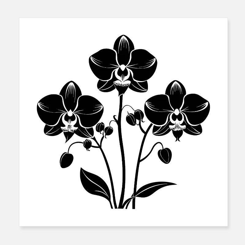 Orchidées Poster 20 x 20 cm