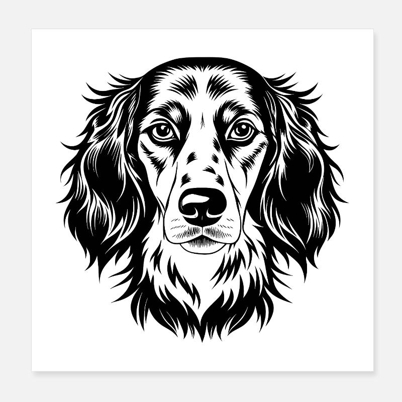 English Setter Poster 8" x 8" (20x20 cm)