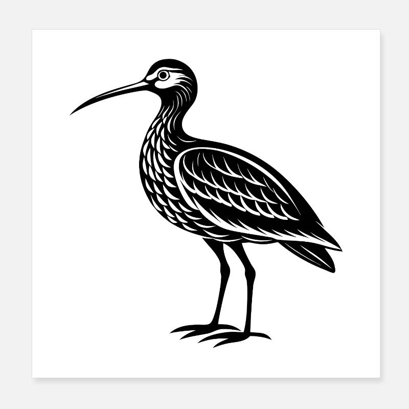 Curlew Bird Poster 8" x 8" (20x20 cm)